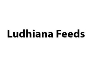 Ludhiana feeds